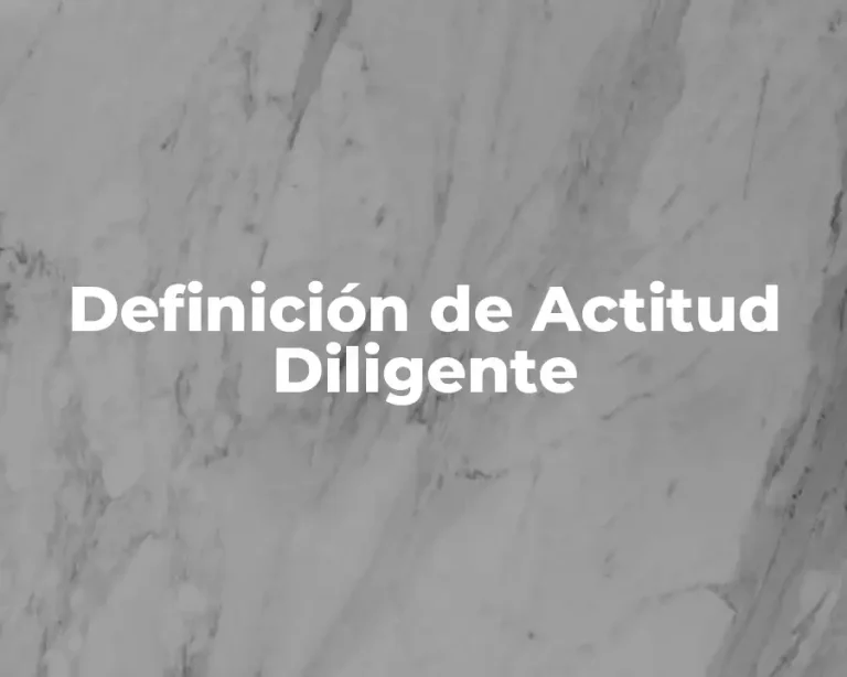 Definición de Actitud Diligente