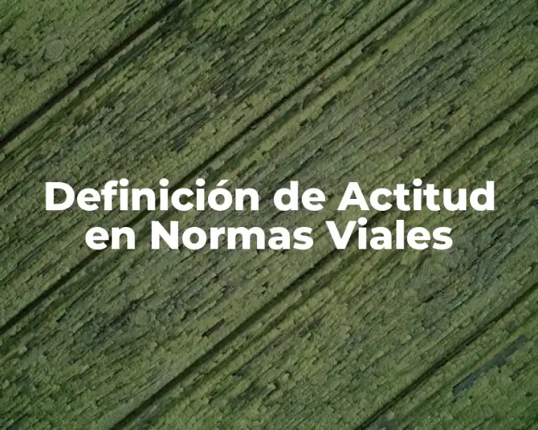Definición de Actitud en Normas Viales