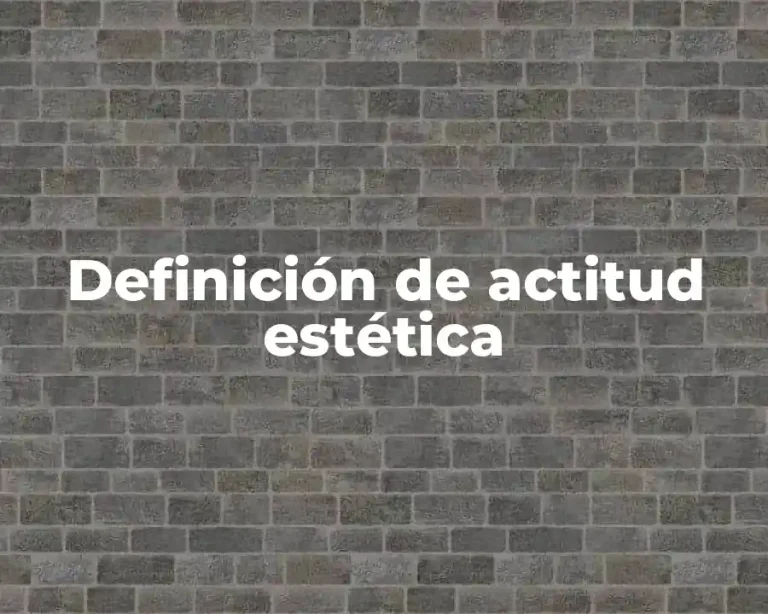 Definición de actitud estética