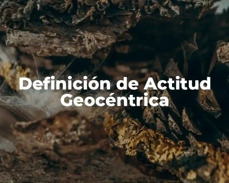 Definición de Actitud Geocéntrica