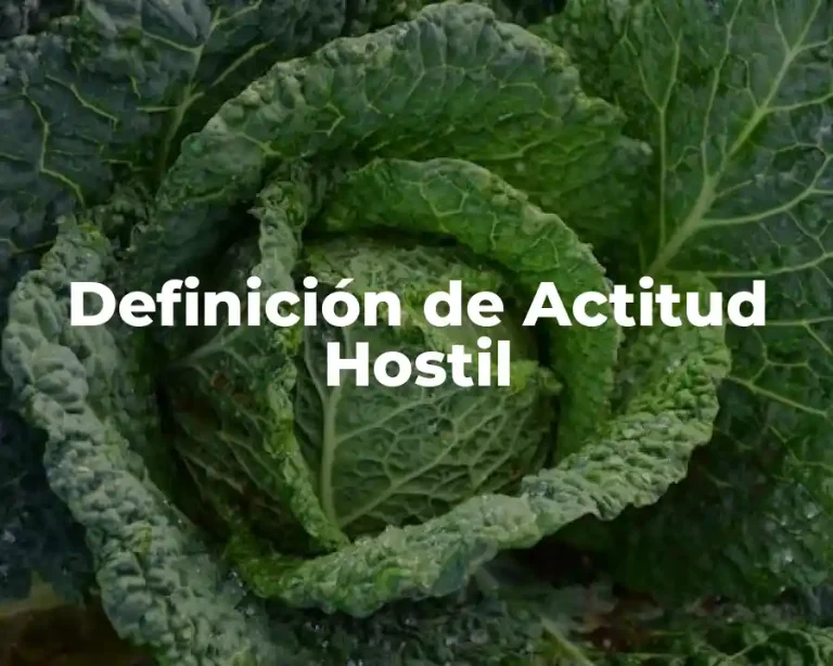 Definición de Actitud Hostil