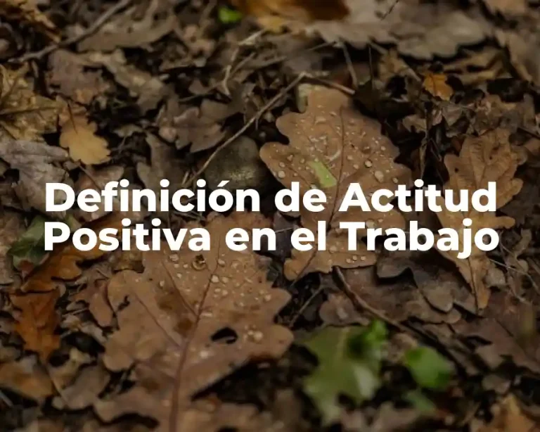 Definición de Actitud Positiva en el Trabajo