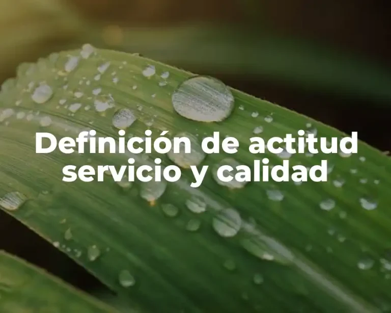 Definición de actitud servicio y calidad