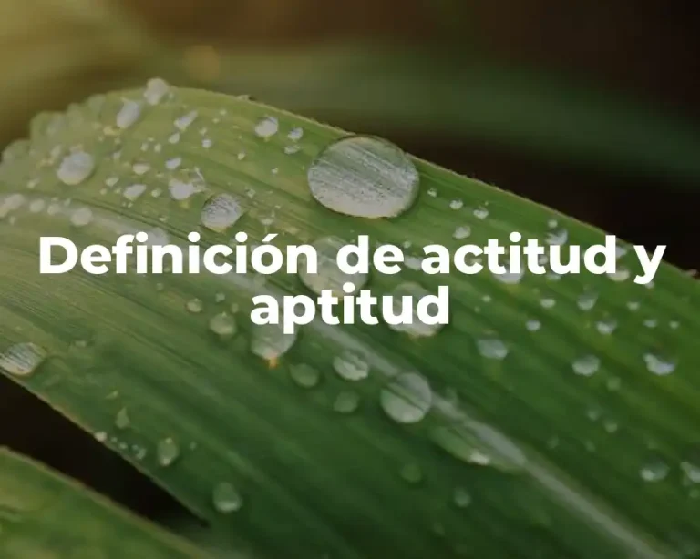 Definición de actitud y aptitud