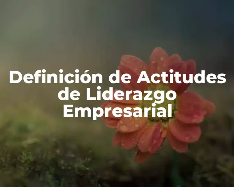 Definición de Actitudes de Liderazgo Empresarial