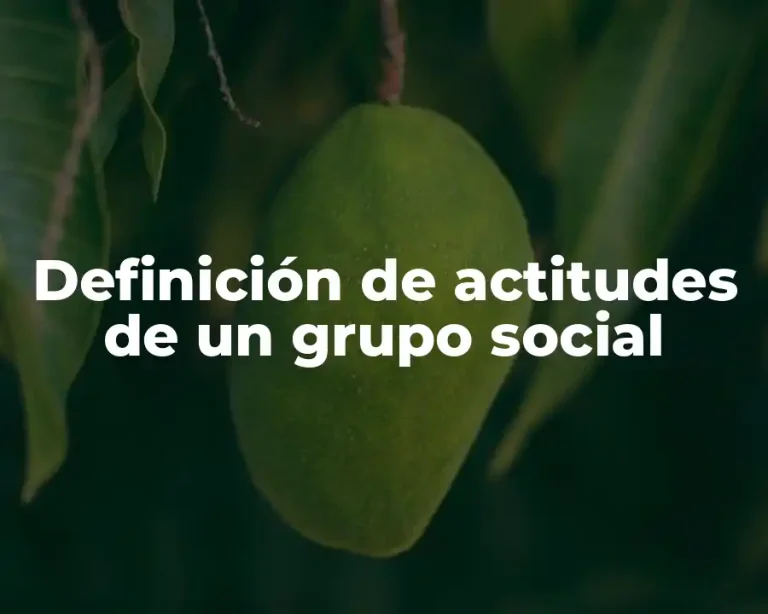 Definición de actitudes de un grupo social