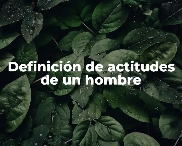 Definición de actitudes de un hombre