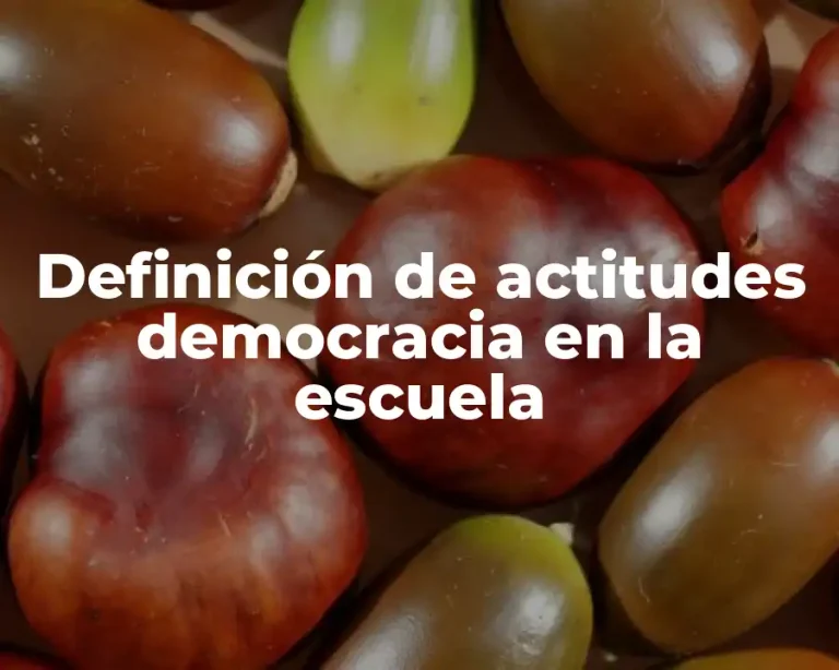 Definición de actitudes democracia en la escuela