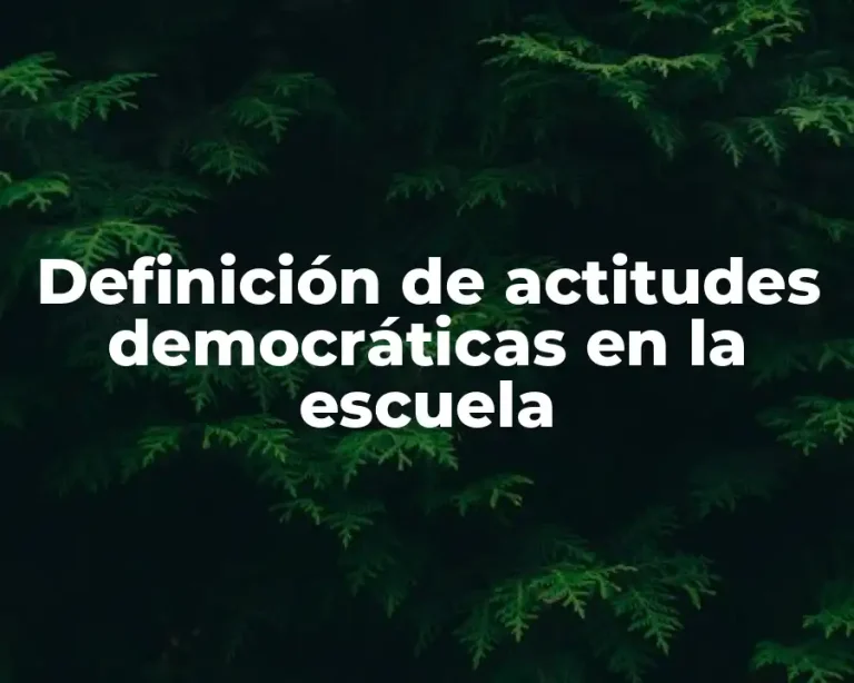 Definición de actitudes democráticas en la escuela