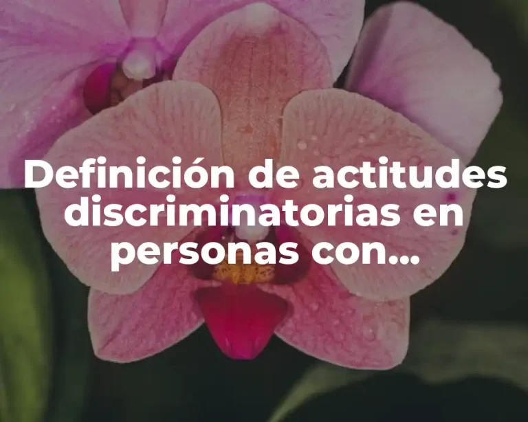 Definición de actitudes discriminatorias en personas con discapacidad