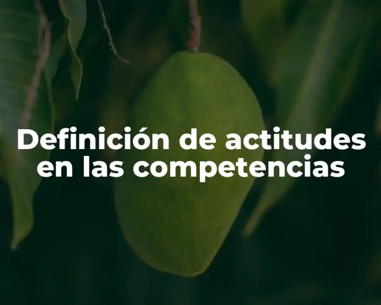 Definición de actitudes en las competencias