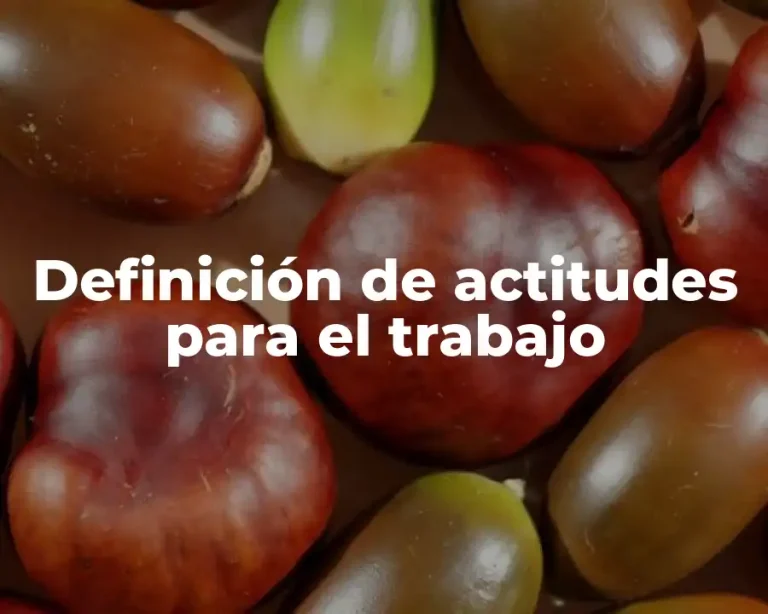 Definición de actitudes para el trabajo