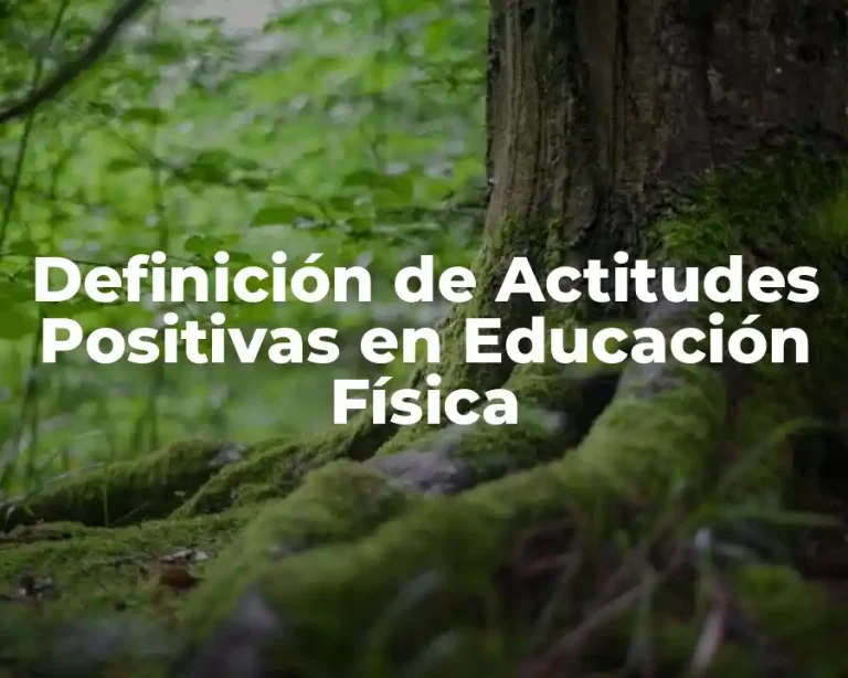 Definición de Actitudes Positivas en Educación Física