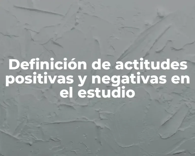 Definición de actitudes positivas y negativas en el estudio