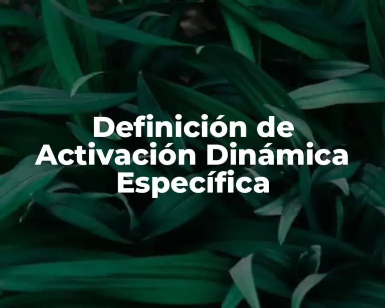 Definición de Activación Dinámica Específica