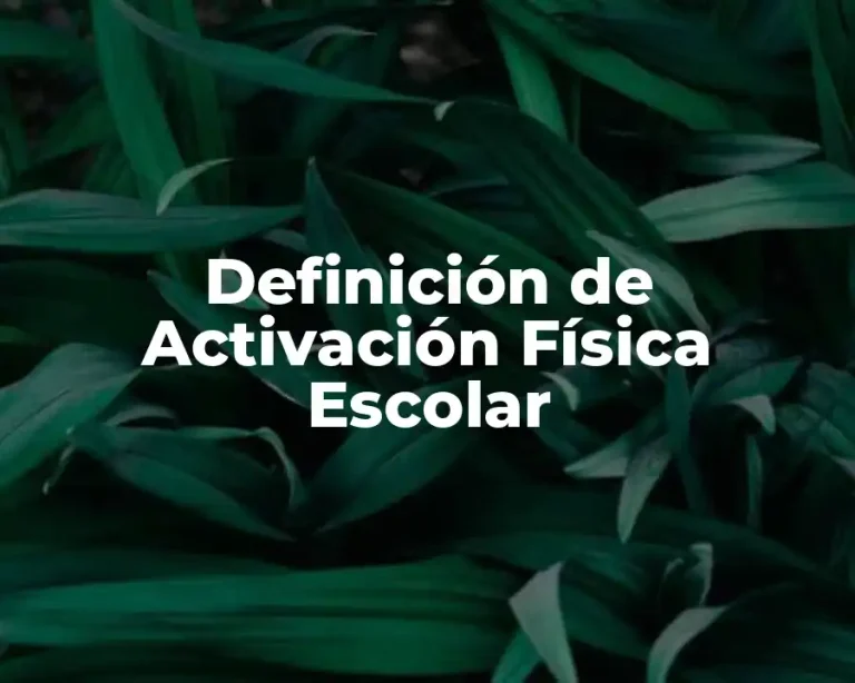 Definición de Activación Física Escolar