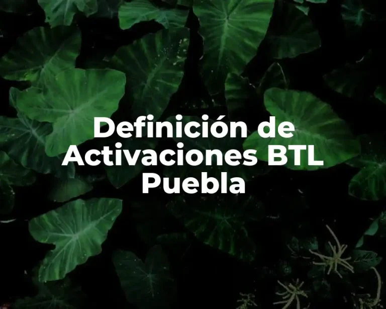 Definición de Activaciones BTL Puebla