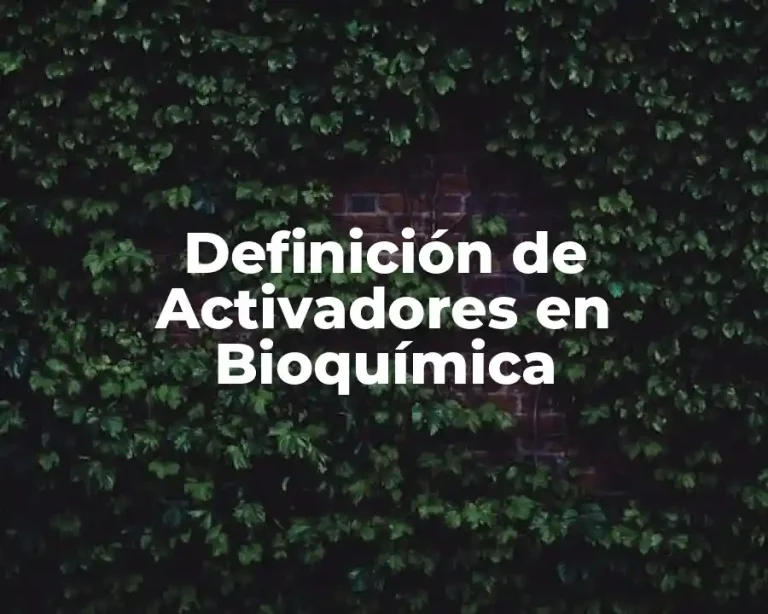 Definición de Activadores en Bioquímica