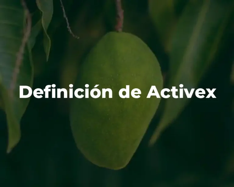 Definición de Activex