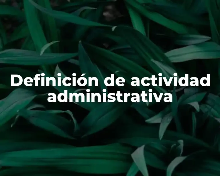 Definición de actividad administrativa
