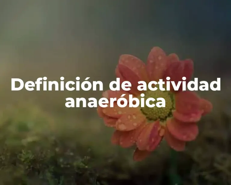 Definición de actividad anaeróbica