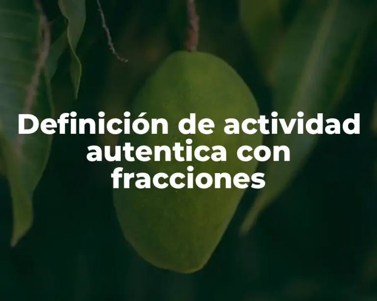 Definición de actividad autentica con fracciones
