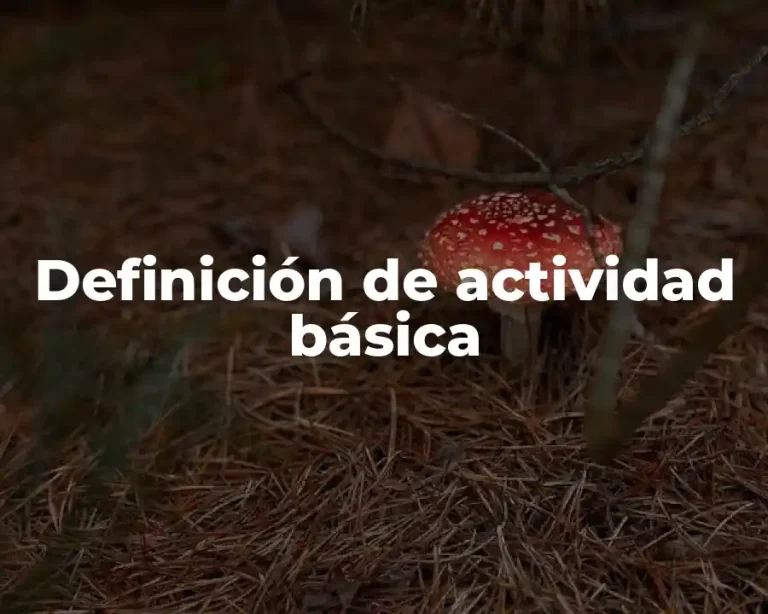 Definición de actividad básica
