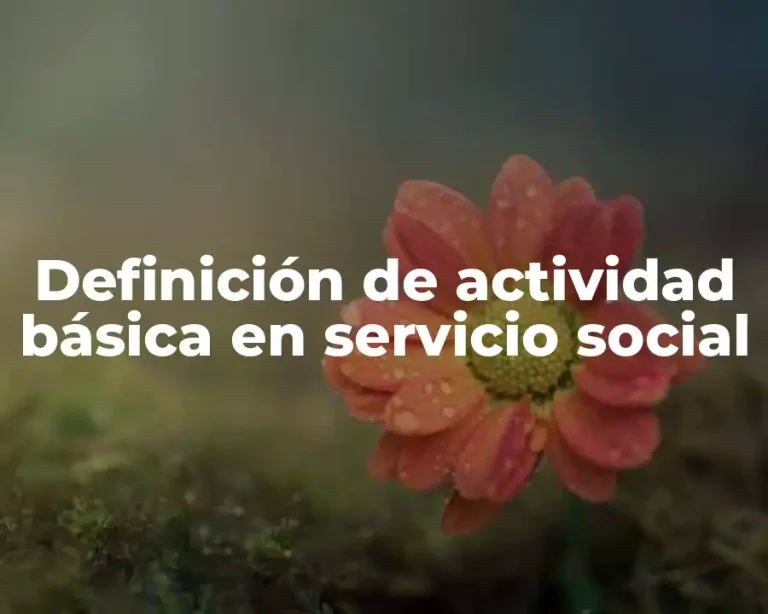 Definición de actividad básica en servicio social