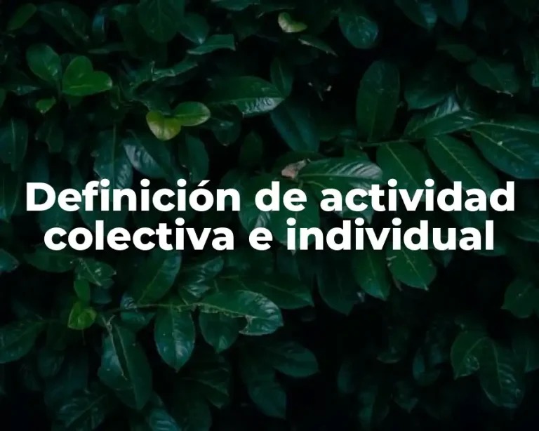 Definición de actividad colectiva e individual