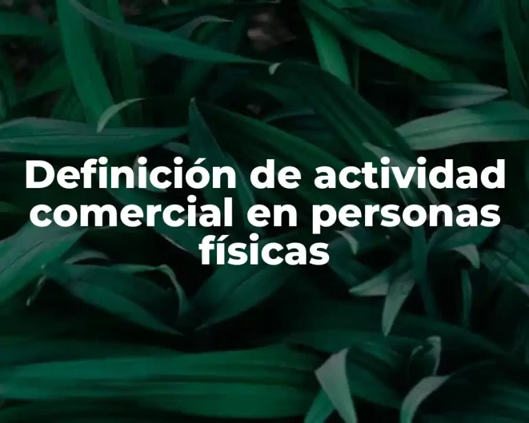 Definición de actividad comercial en personas físicas