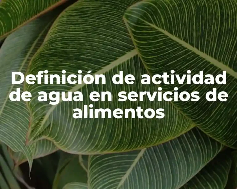 Definición de actividad de agua en servicios de alimentos