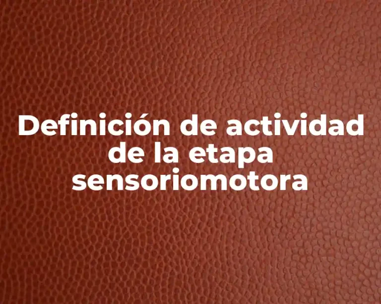 Definición de actividad de la etapa sensoriomotora