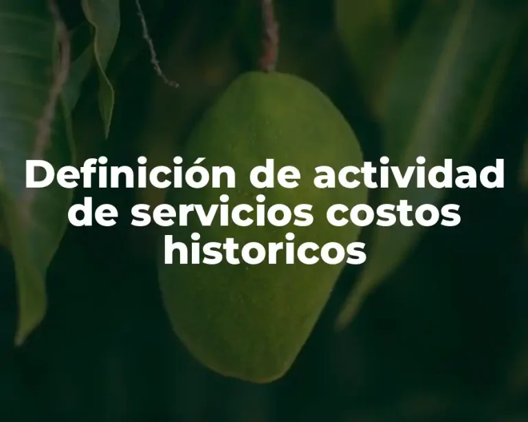 Definición de actividad de servicios costos historicos
