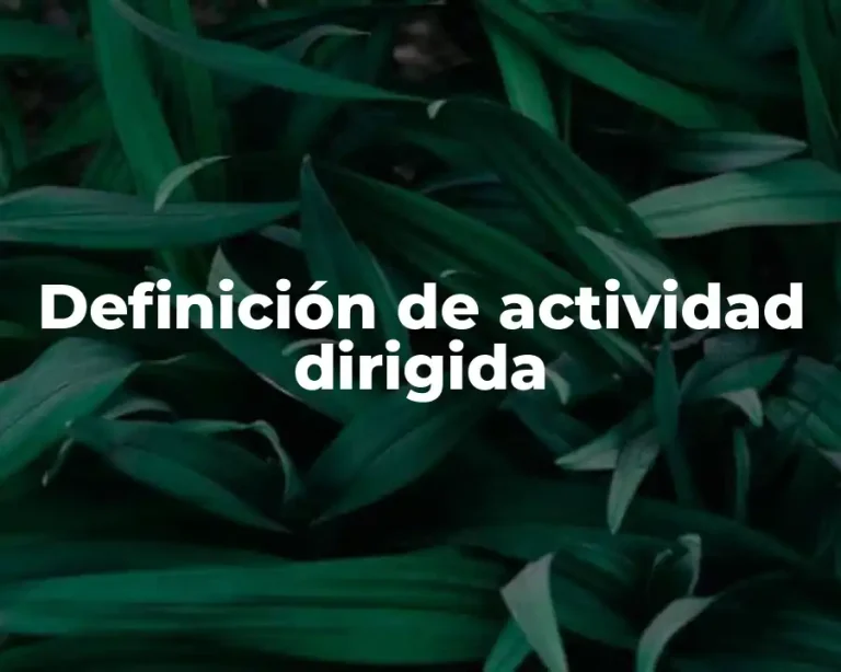 Definición de actividad dirigida