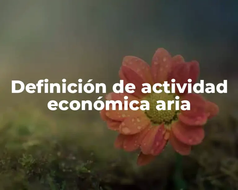 Definición de actividad económica aria