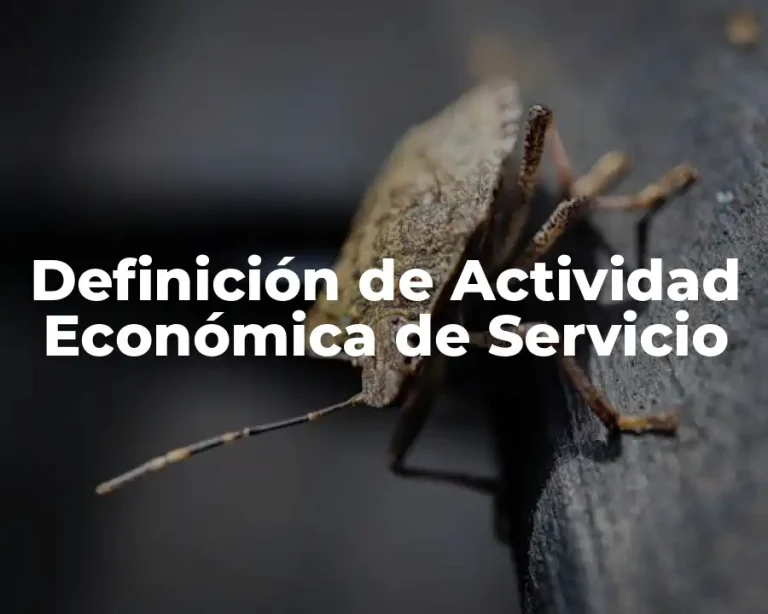 Definición de Actividad Económica de Servicio