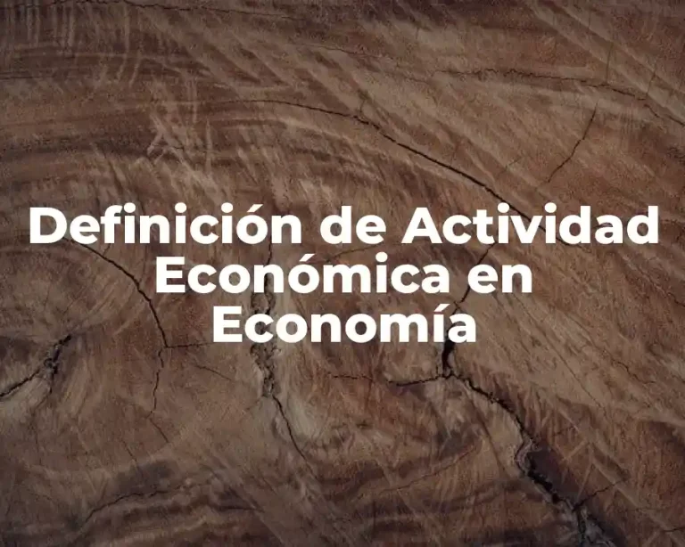 Definición de Actividad Económica en Economía