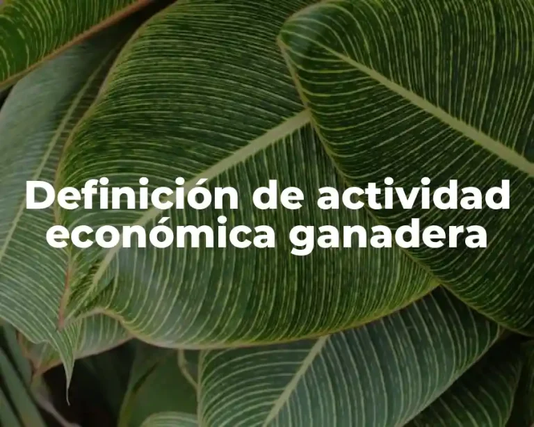 Definición de actividad económica ganadera