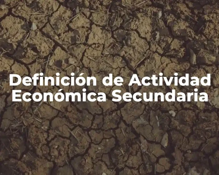 Definición de Actividad Económica Secundaria