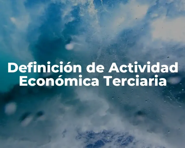 Definición de Actividad Económica Terciaria