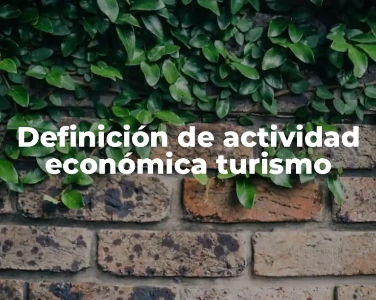 Definición de actividad económica turismo
