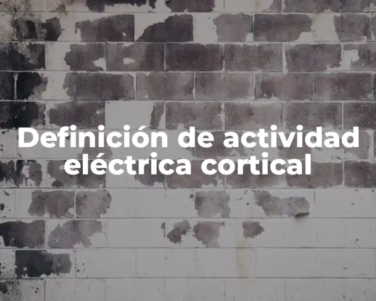 Definición de actividad eléctrica cortical