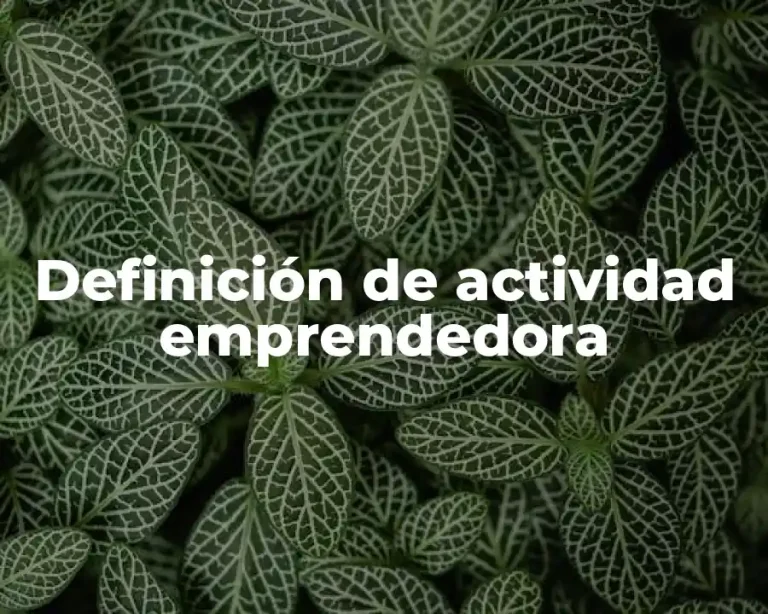Definición de actividad emprendedora