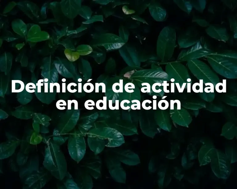 Definición de actividad en educación