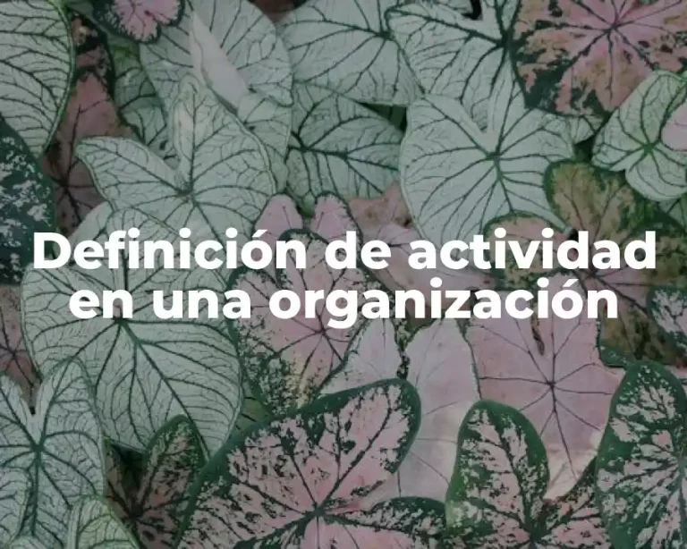 Definición de actividad en una organización