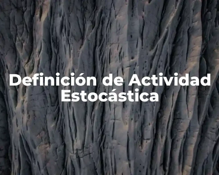 Definición de Actividad Estocástica