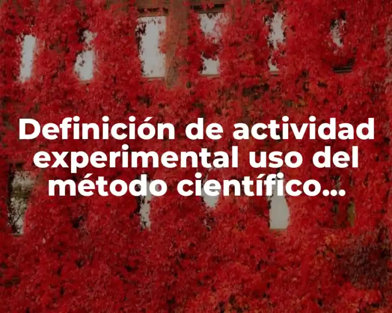 Definición de actividad experimental uso del método científico química
