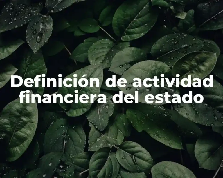 Definición de actividad financiera del estado
