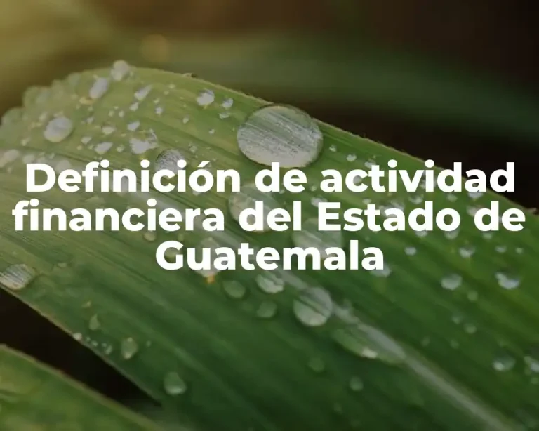 Definición de actividad financiera del Estado de Guatemala