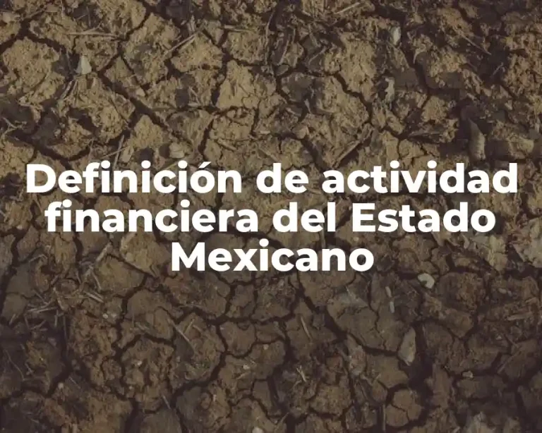 Definición de actividad financiera del Estado Mexicano